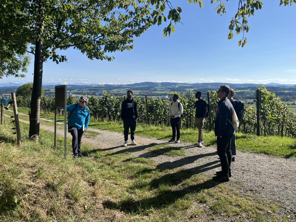 Erklärungen zum Weinbau